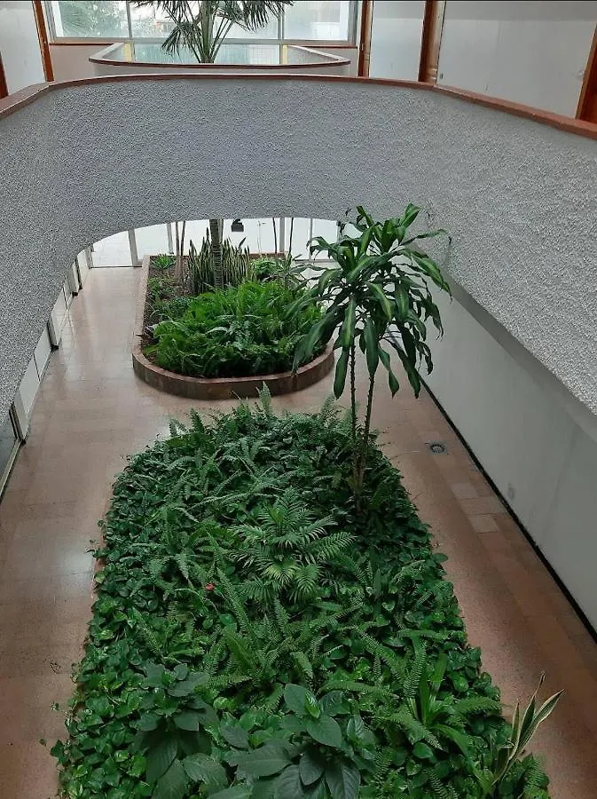 Apartamento Centrico En Playa Del Ingles Apartment Playa del Ingles (Gran Canaria)